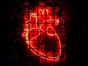 Neon anatomical heart